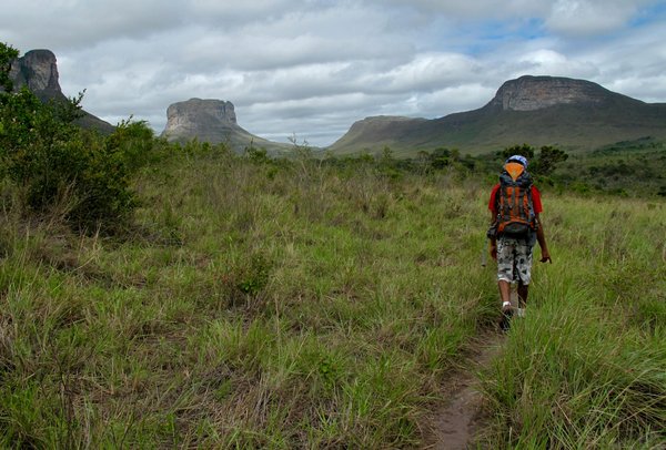 What Unique UK Destinations Offer the Best Wildlife Encounters?